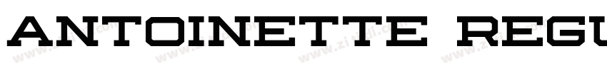 Antoinette regular字体转换